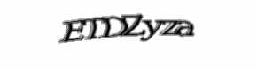 Security check image, please type the characters shown